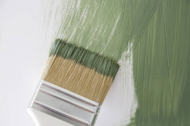 Best Emergency Mold Remediation  in Norwood, OK