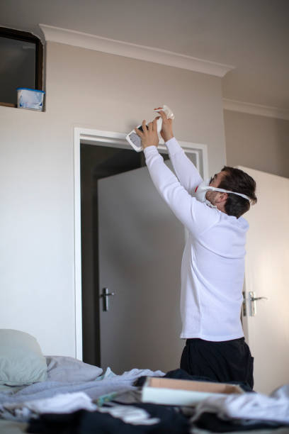 Best Black Mold Removal  in Norwood, OK