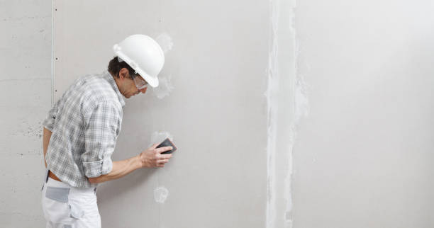 Best Environmental Consulting for Mold Prevention  in Norwood, OK