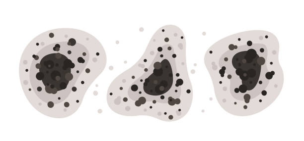 Best Mold-Related Health Consultation  in Norwood, OK