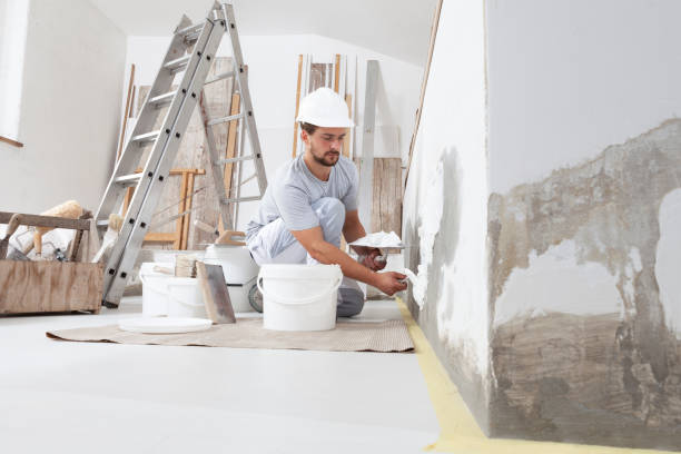 Best Mold Damage Restoration  in Norwood, OK