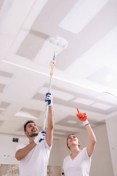 Best Mold Prevention Services  in Norwood, OK