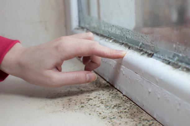 Best Asbestos and Lead Testing During Mold Inspection  in Norwood, OK