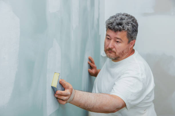Best Post-Construction Mold Inspection  in Norwood, OK