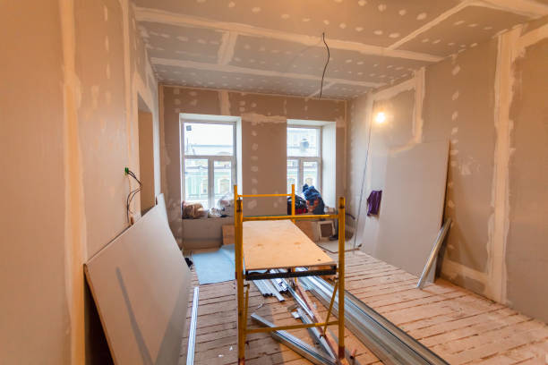 Best Mold Odor Removal Services  in Norwood, OK